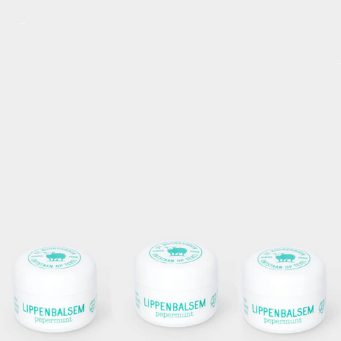 Noordkroon Lippenbalsem pepermunt Trio Pack