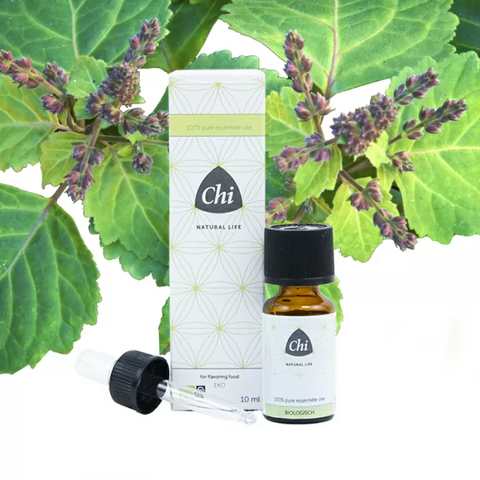 Chi Patchouli etherische olie, biologisch