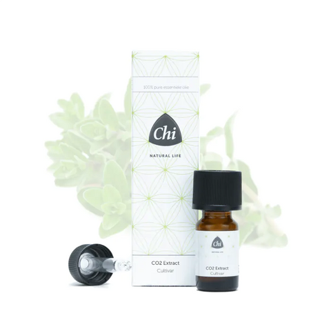 Chi Zoete Marjolein, CO2 extract, Cultivar